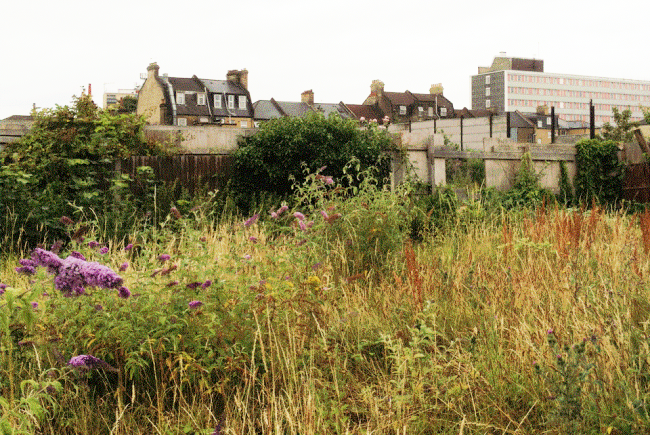 Green Space in the Heart of Forest Gate